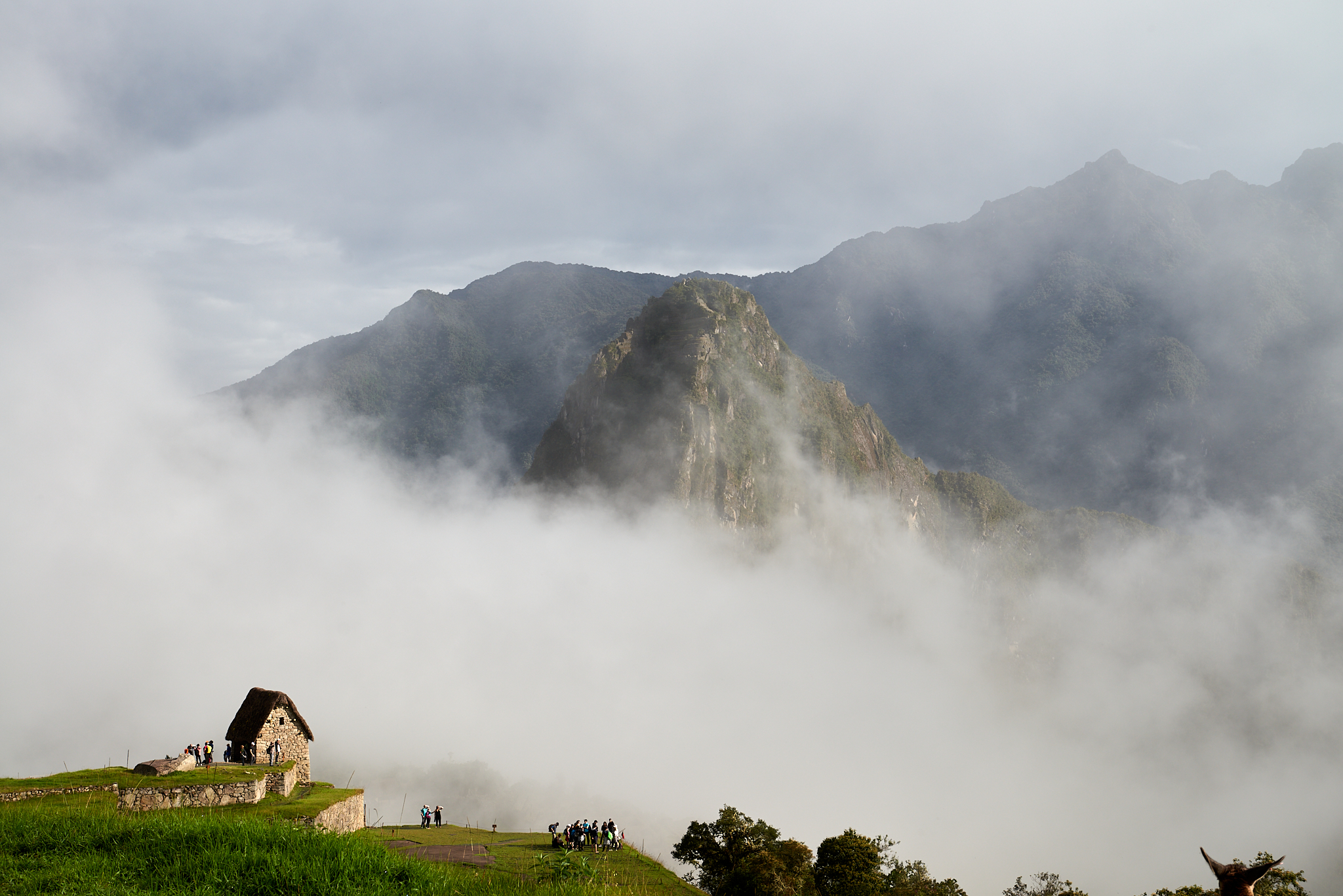 20200308 580 [페루] 마추픽추